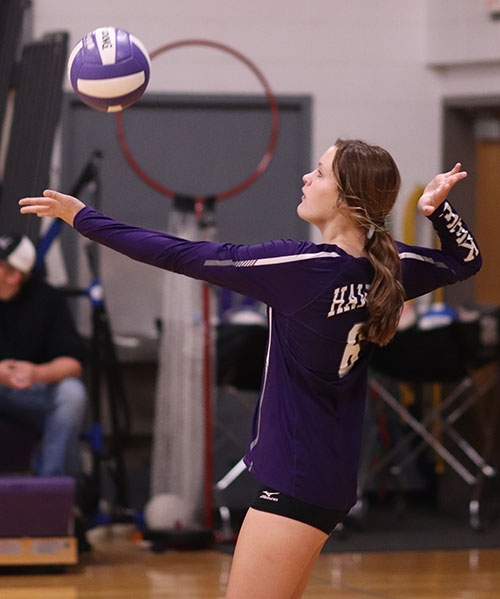 Setting up a serve ...
