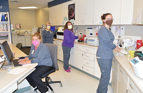 VMH Laboratory returns to full services ... 